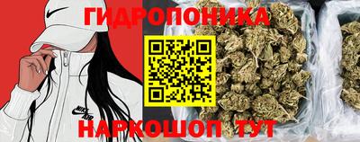 спиды Моздок