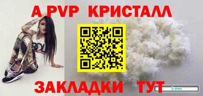 спиды Моздок